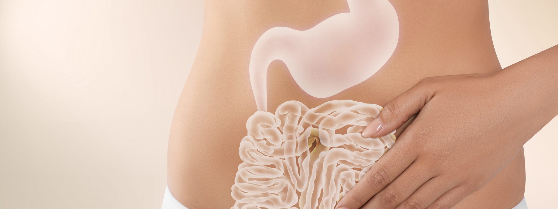 Woman with healthy digestive system on light background, closeup. Illustration of gastrointestinal tract